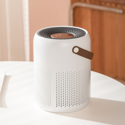 Plug-in Air Purifier with H13 HEPA Filter and Auto/Manual Modes