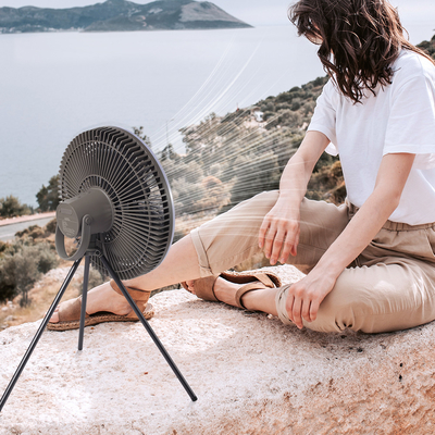 Battery 10000mAh Rechargeable Table Fan 12 Inch Lantern LED Tent Light Fan