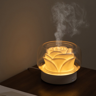 400ml Essential Oil Diffuser With Remote Control