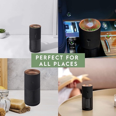 H13 H12 HEPA Negative Ion Portable Air Purifier For Pollen Allergies Smoke