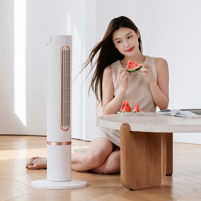 Bladeless Cooling Tower Fan Five Speeds Polymer Battery Air Circulator Cooling Fan