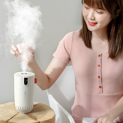 Dual Spray Portable Rechargeable Humidifier 2000mAh Usb Car Charger Humidifier