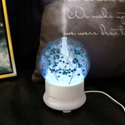 Portable Ultrasonic Aroma Oil Diffuser 100ml Capacity Cool Mist Air Humidifier