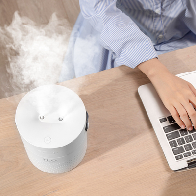 Dual Spray Portable Rechargeable Humidifier 1100ml 4000mAh Colorful Light